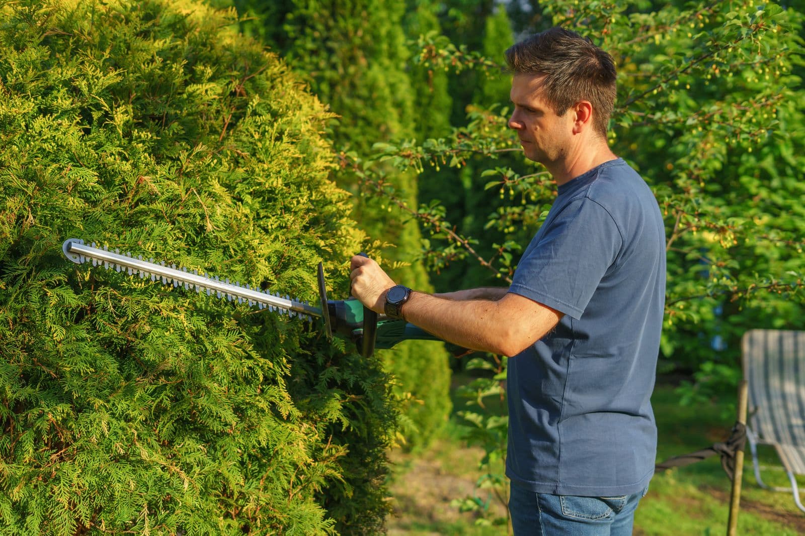 Gärtner schneidet eine Hecke mit dem Heckenschneider im Betrieb